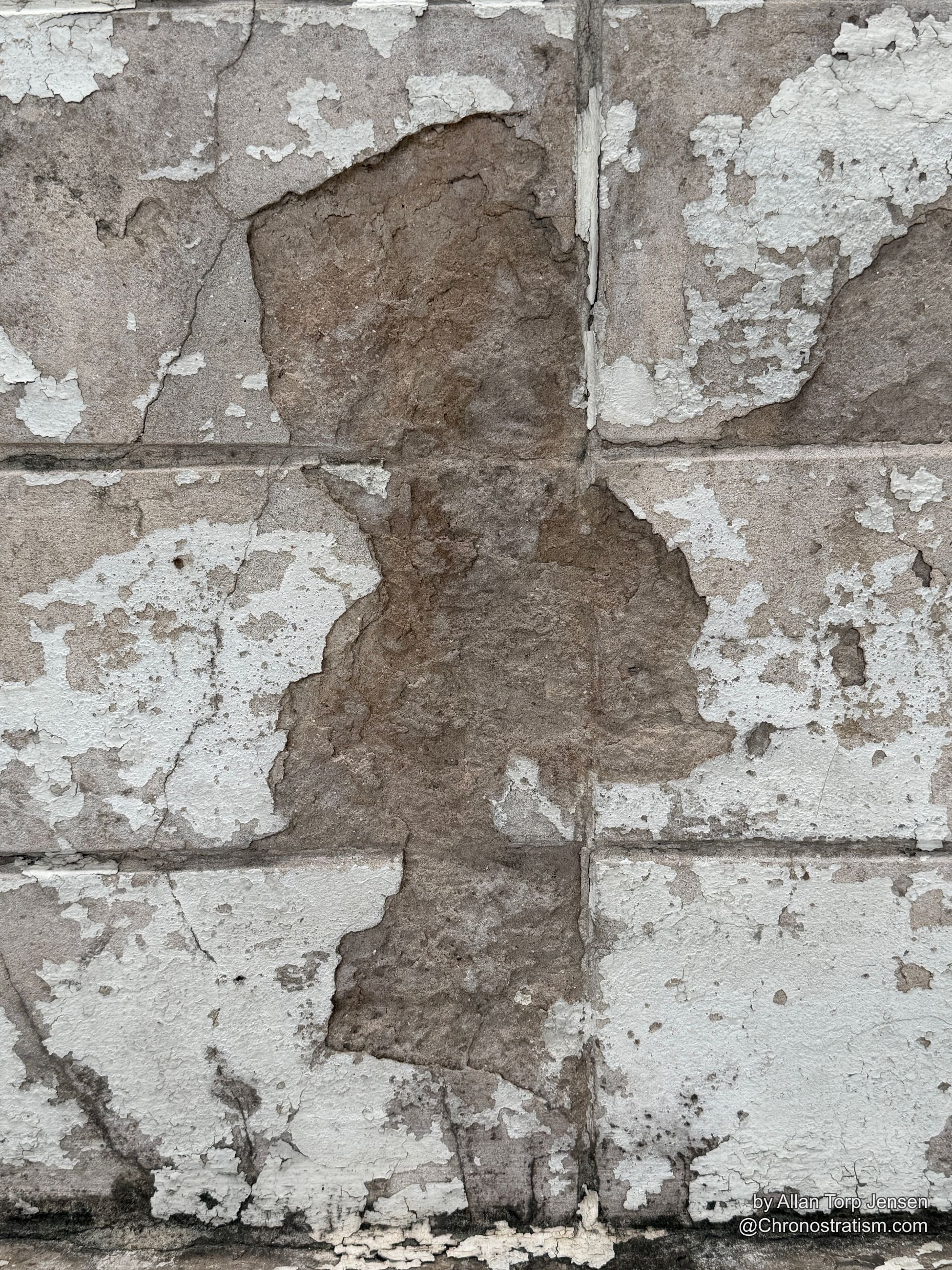 Detail of the same tiled wall where paint has fully lifted away, exposing a dense tan patch bordered by hairline cracks and a dark water-stain streak at the edge.