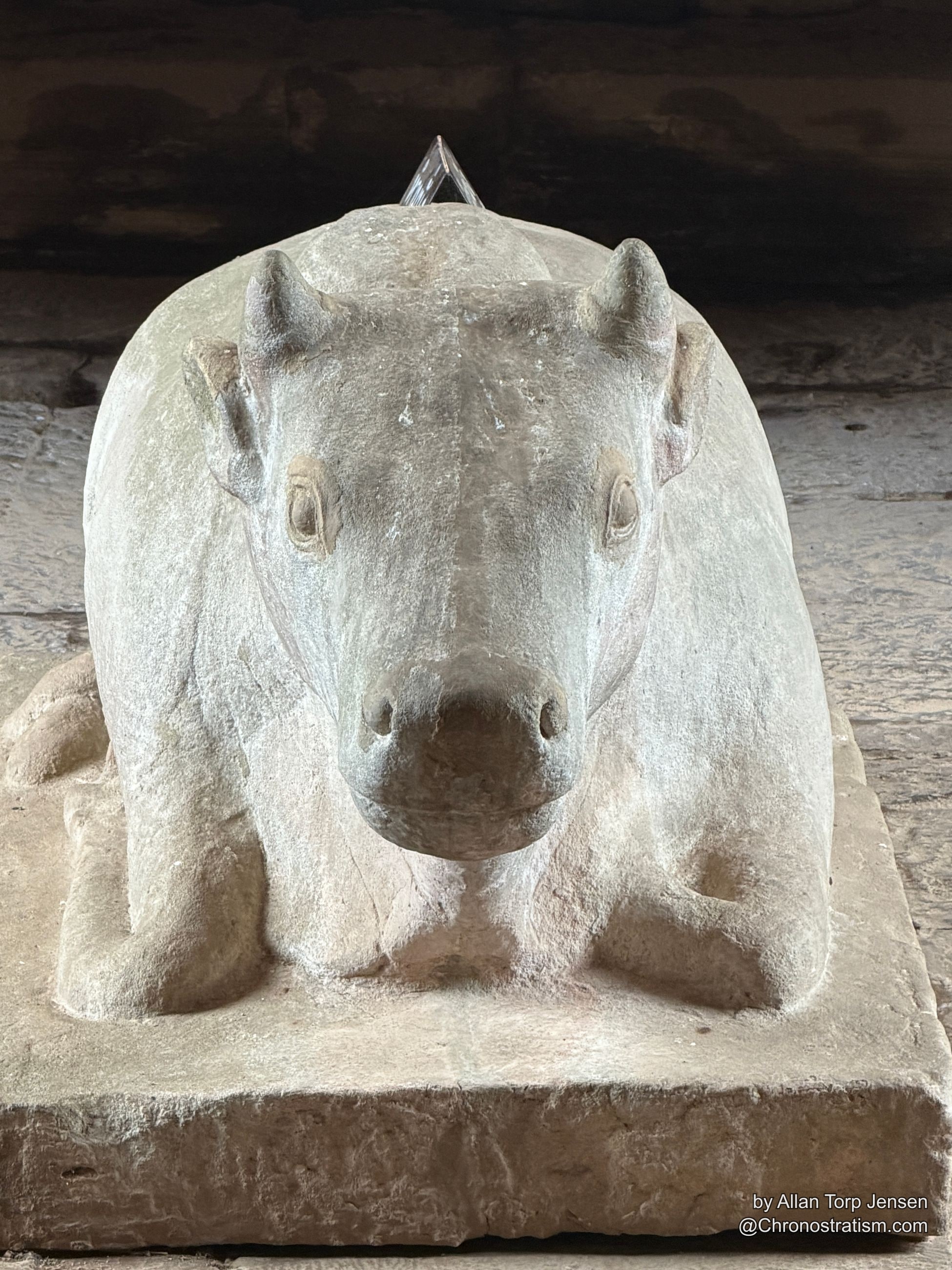 A carved stone guardian head bas-relief looks out from a lichen-dusted temple wall.