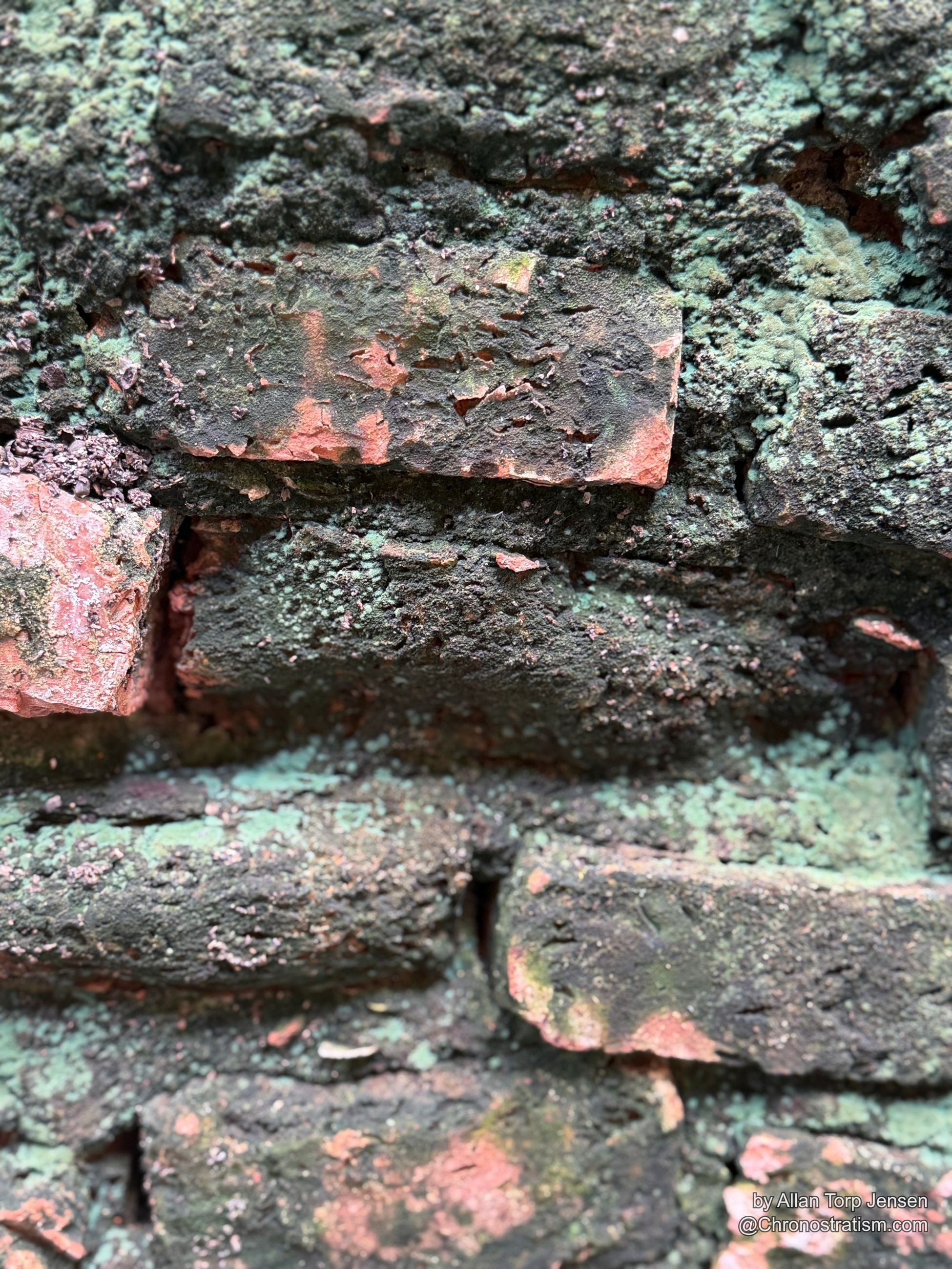 A closer view finds moss and lichen thickening in the mortar joints.