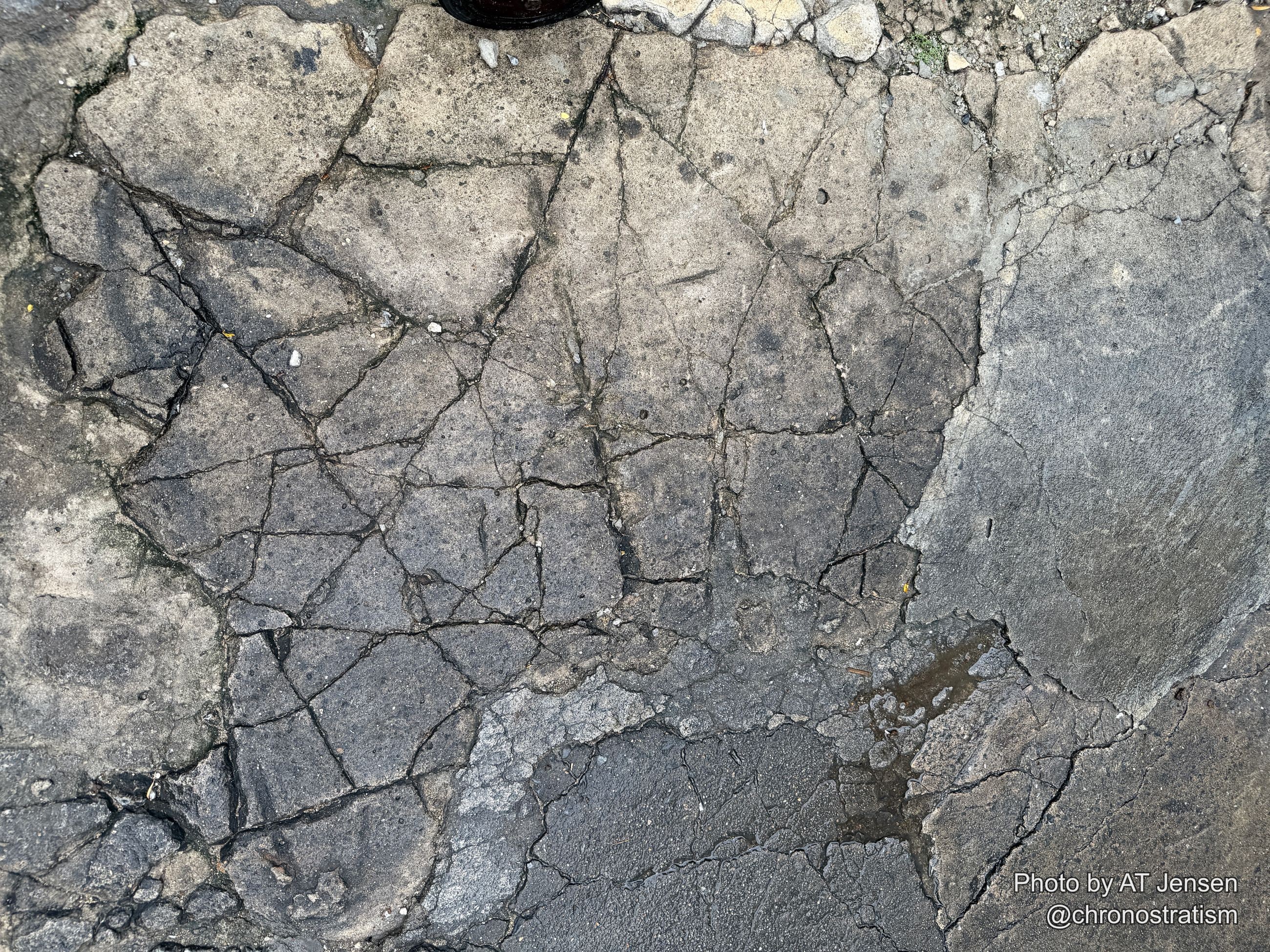 Dense cellular cracking splinters a stretch of asphalt pavement into hundreds of irregular fragments.