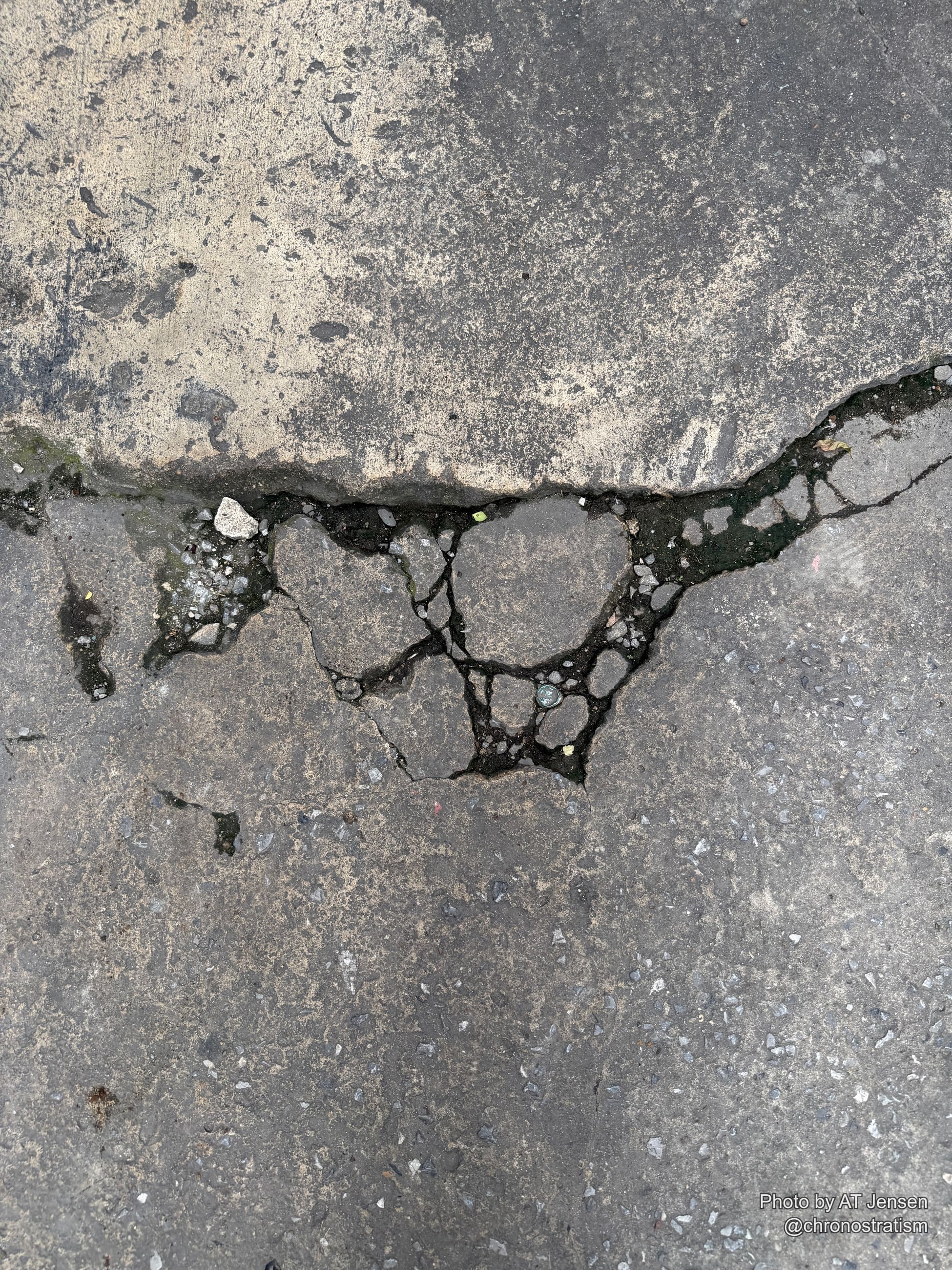 A pavement crack splinters into a cellular fracture pattern, a coin and broken glass embedded in the gap.