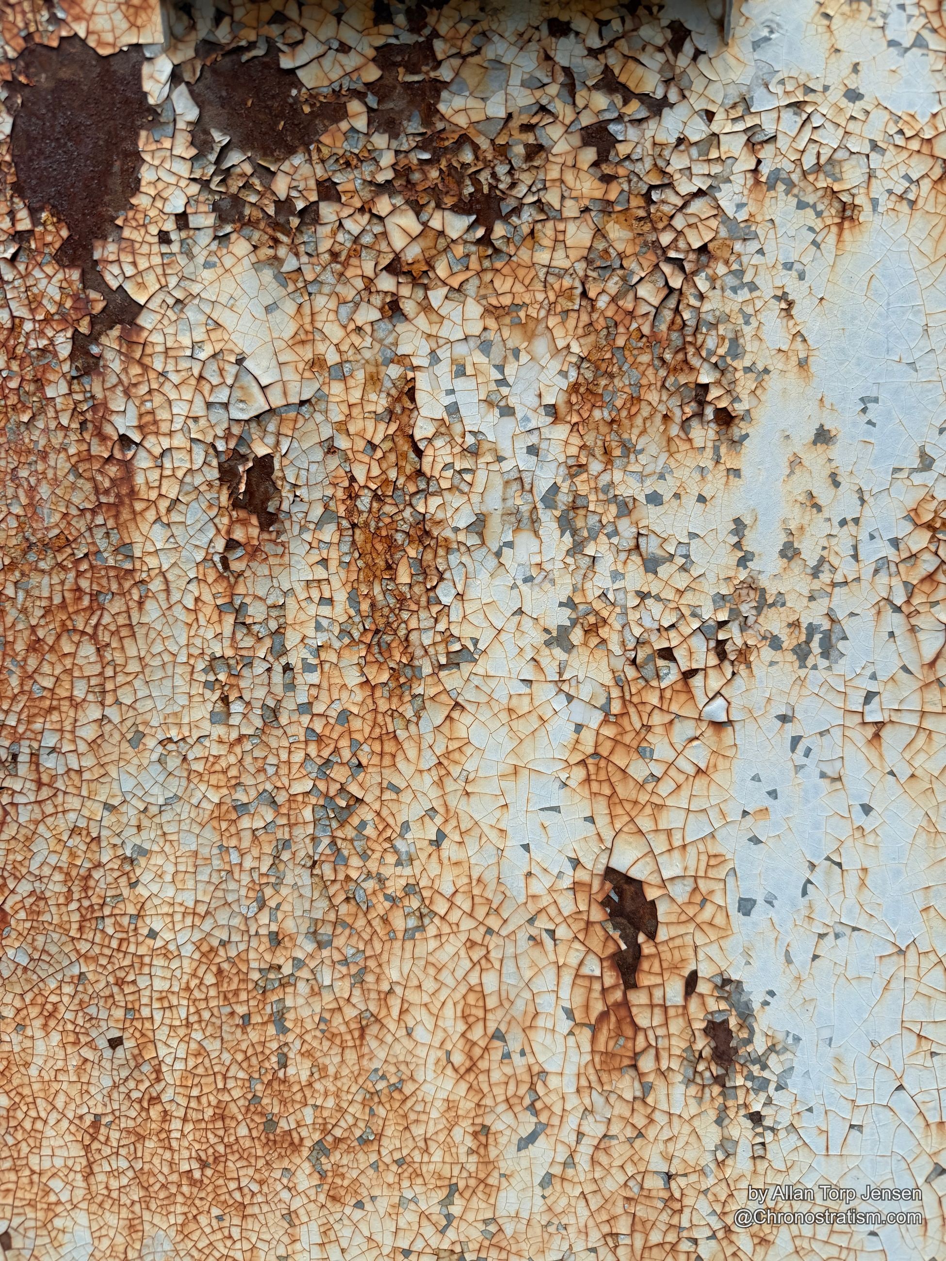 Fine crackle-glazed paint gives way to rust and bare metal along one edge of a weathered gate panel.