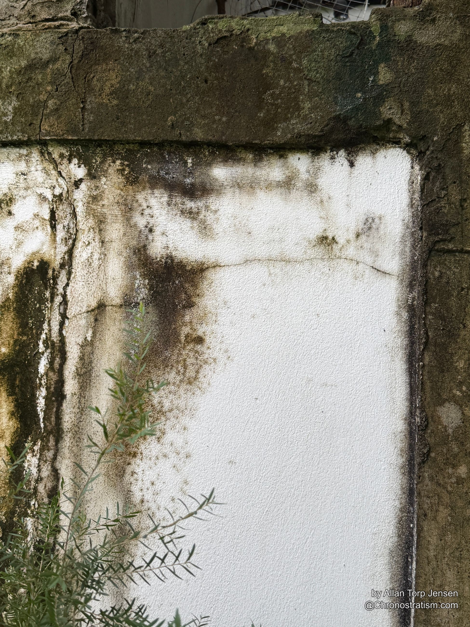 Dark mold blooms spread across a white render panel beside a lichen-covered corner post.