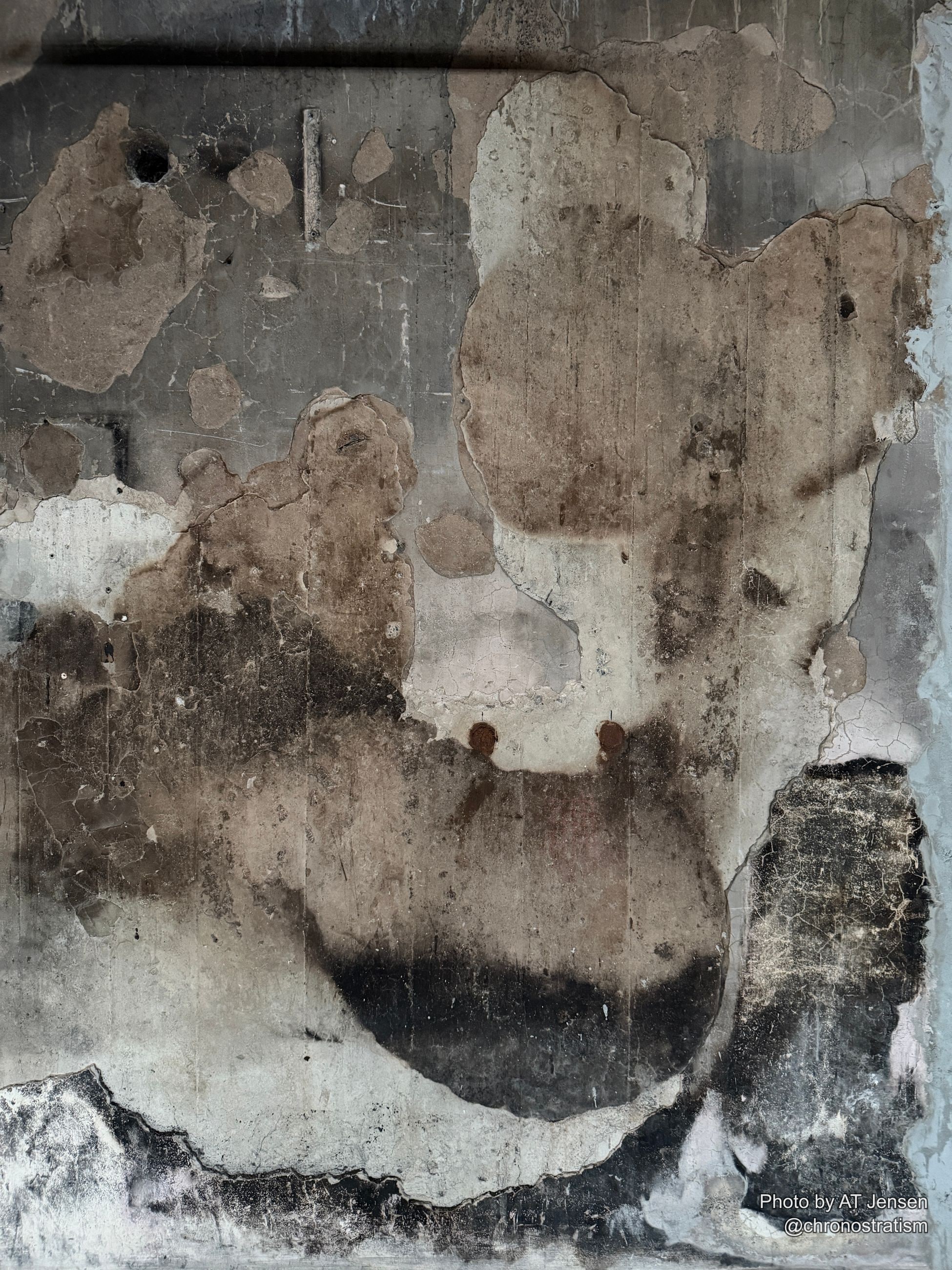 Dark mould blotches mottle a grimy, weathered concrete wall in dense, uneven patches.