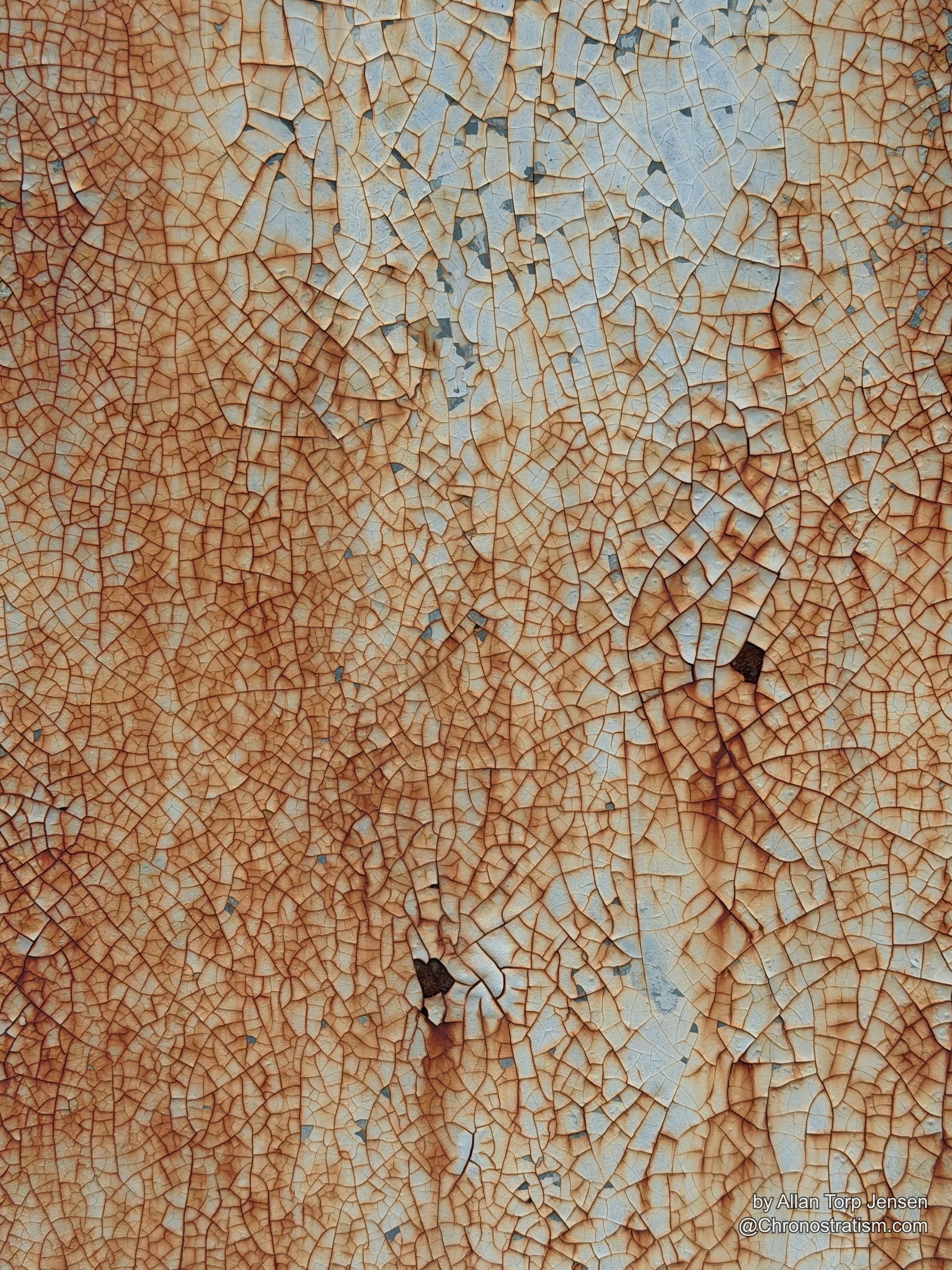 Fine craquelure spreads evenly across a pale panel, faint rust freckling through hairline breaks.