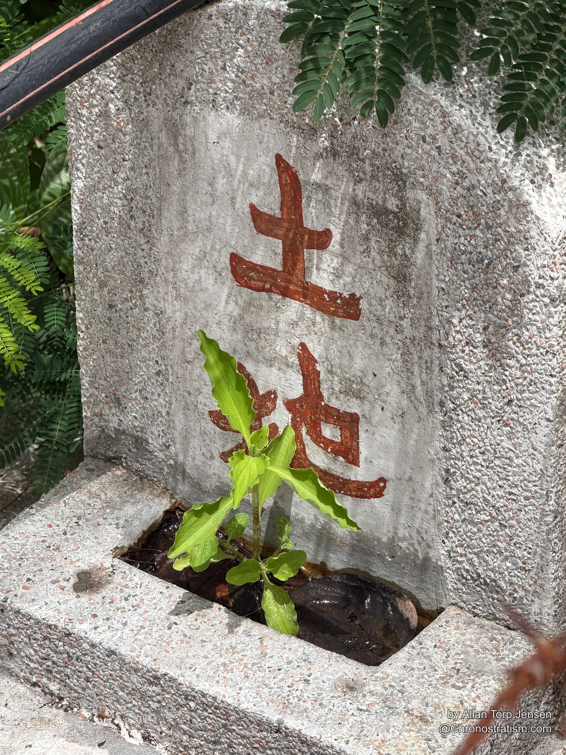 Hand-painted red characters mark a concrete beam, a plant sprig pushing through the crevice.