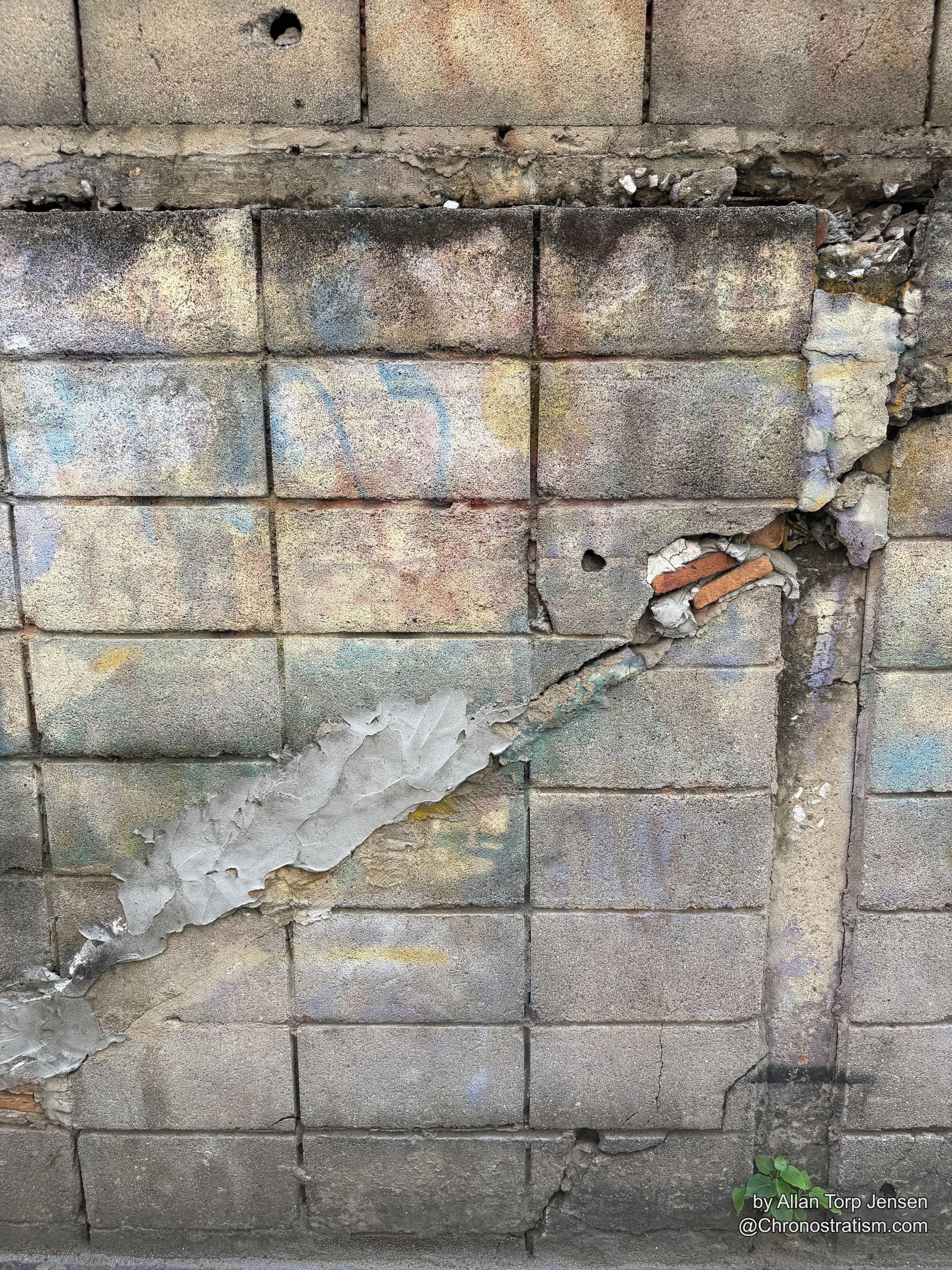 A large diagonal crack splits a tiled wall, a tiny plant sprouting from the fracture.