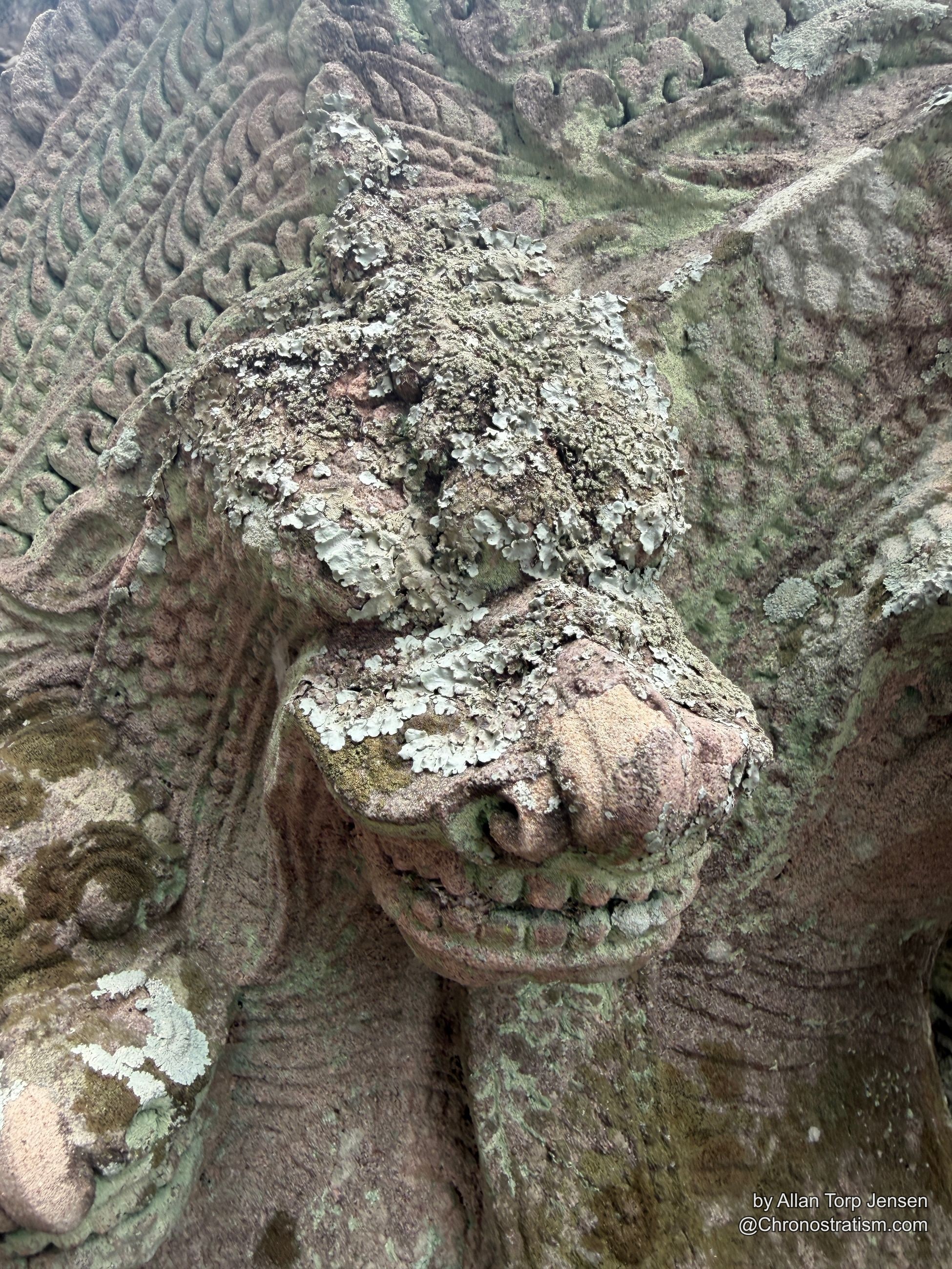 Lichen crusts the carved lion-head guardian in pale patches.