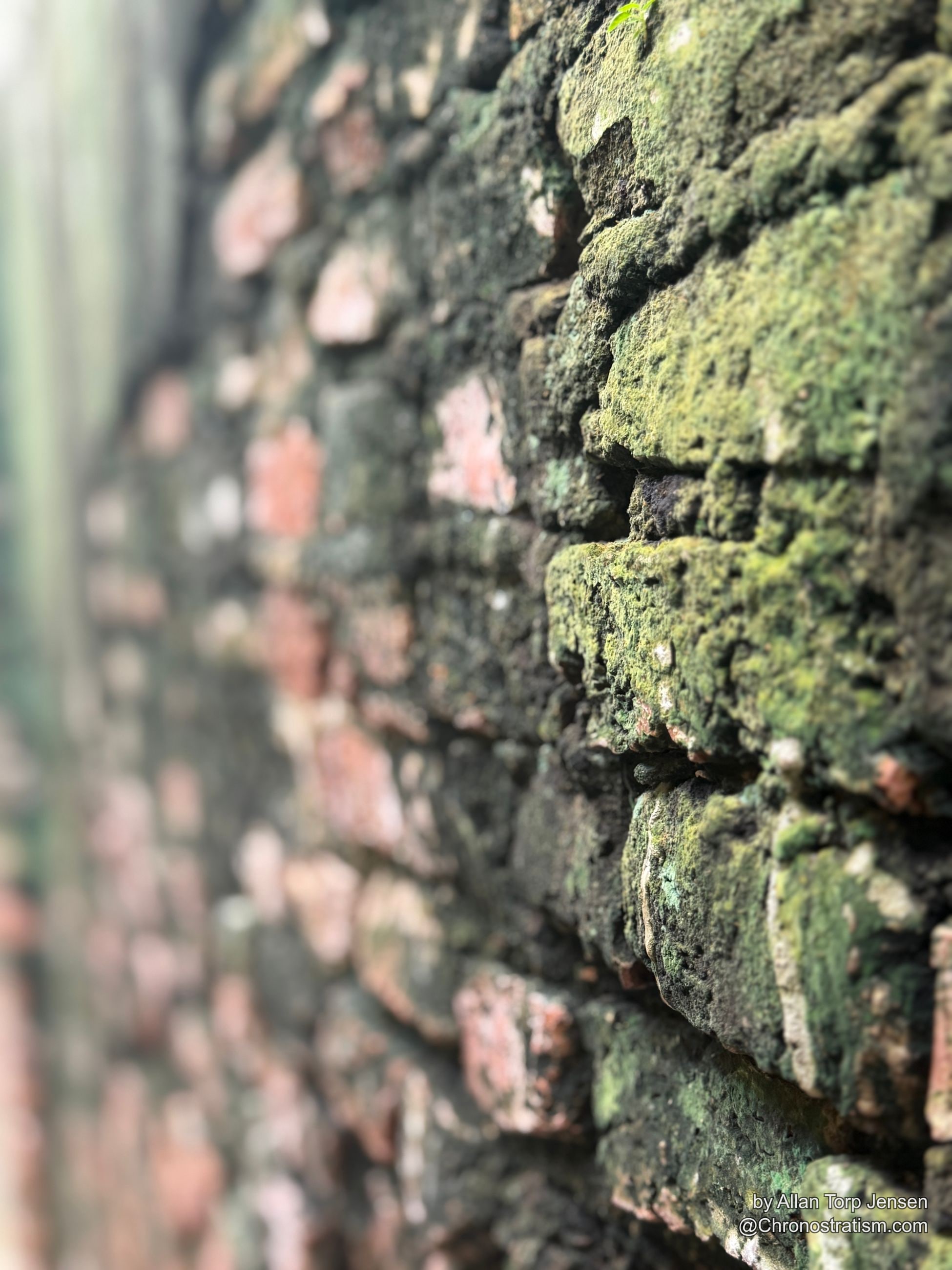 Moss and lichen continue to claim the wall's lower courses.