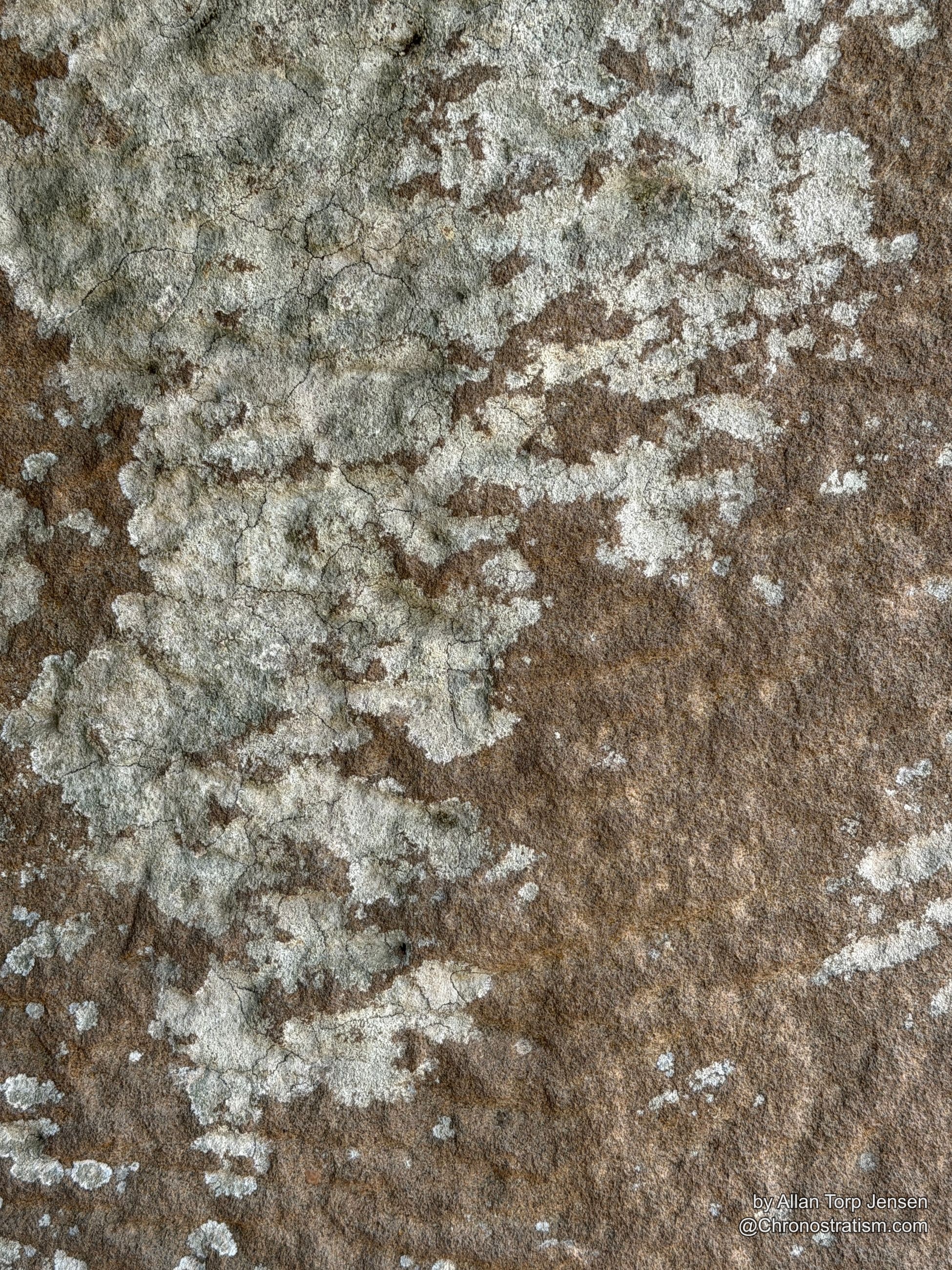 Pale lichen rosettes bloom across dark, weathered stone.