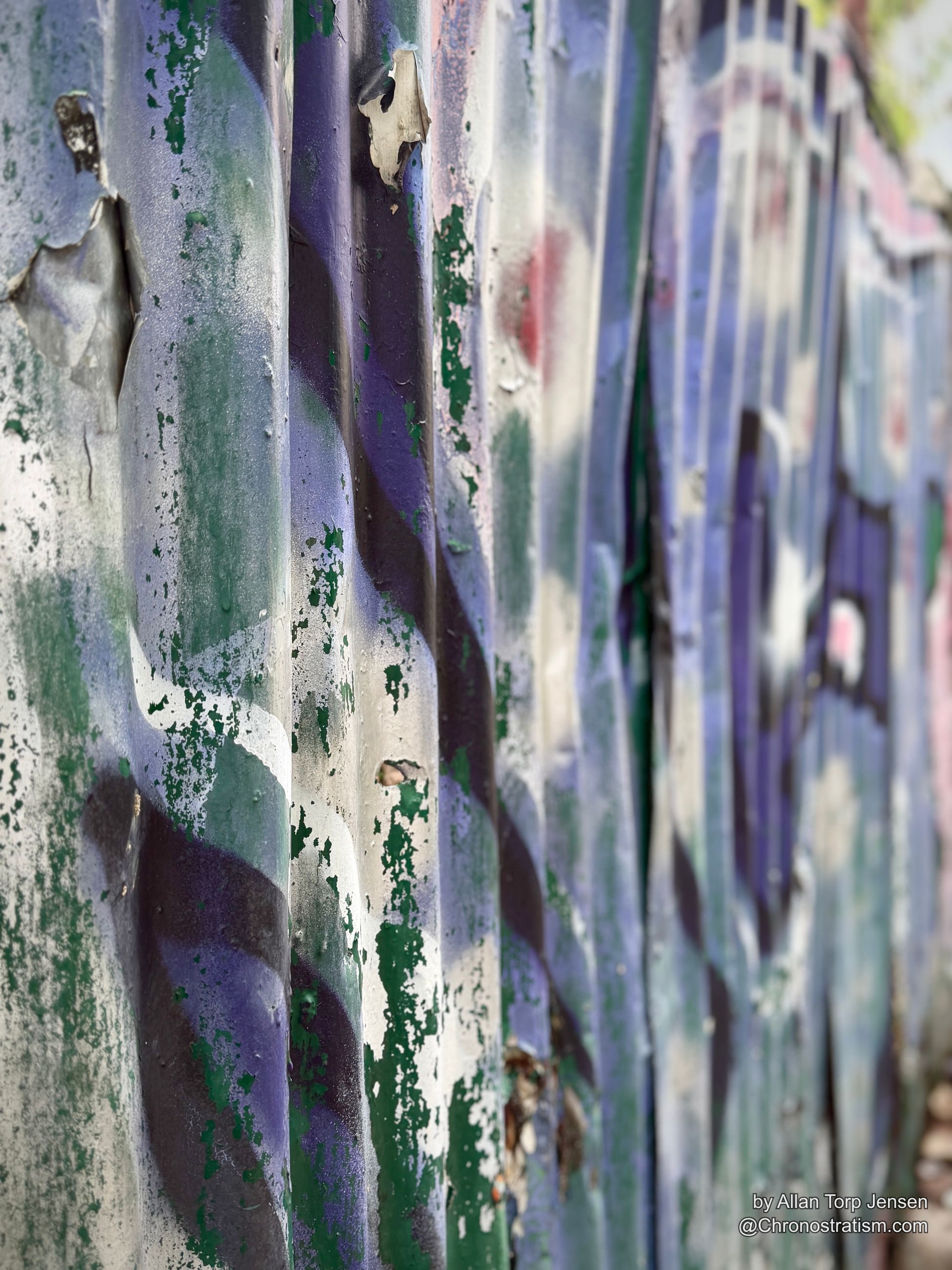 Purple, green and white paint peels in curling layers off a corrugated metal fence.