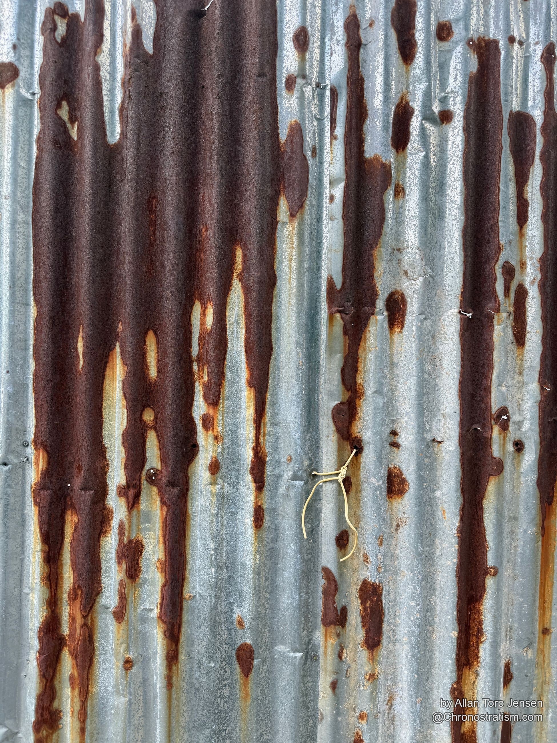 Rust bleeds across a galvanized corrugated fence, a length of wire tied to one rivet.