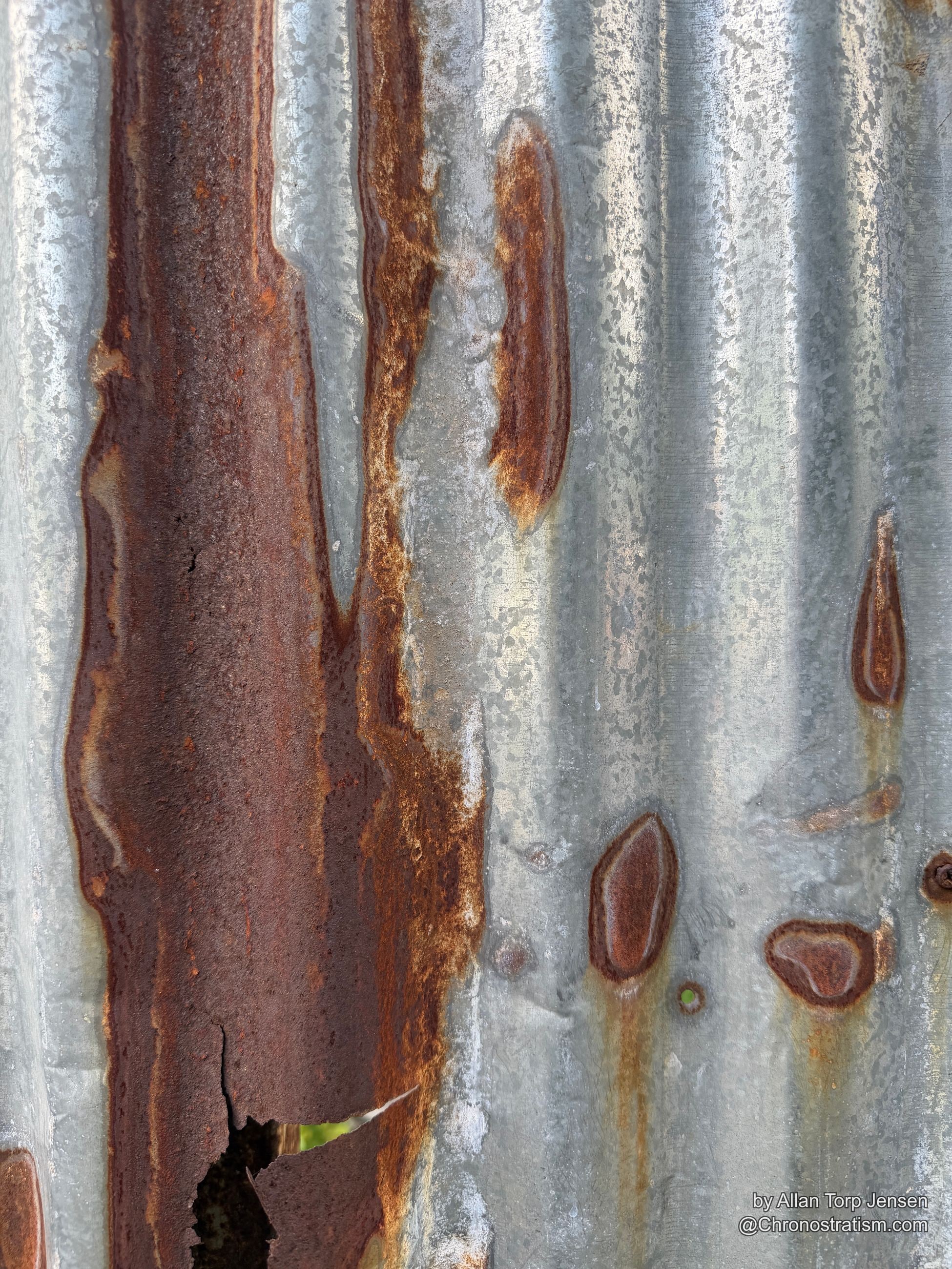 Rust blisters pit a galvanized panel, a torn seam catching a sliver of green beyond.