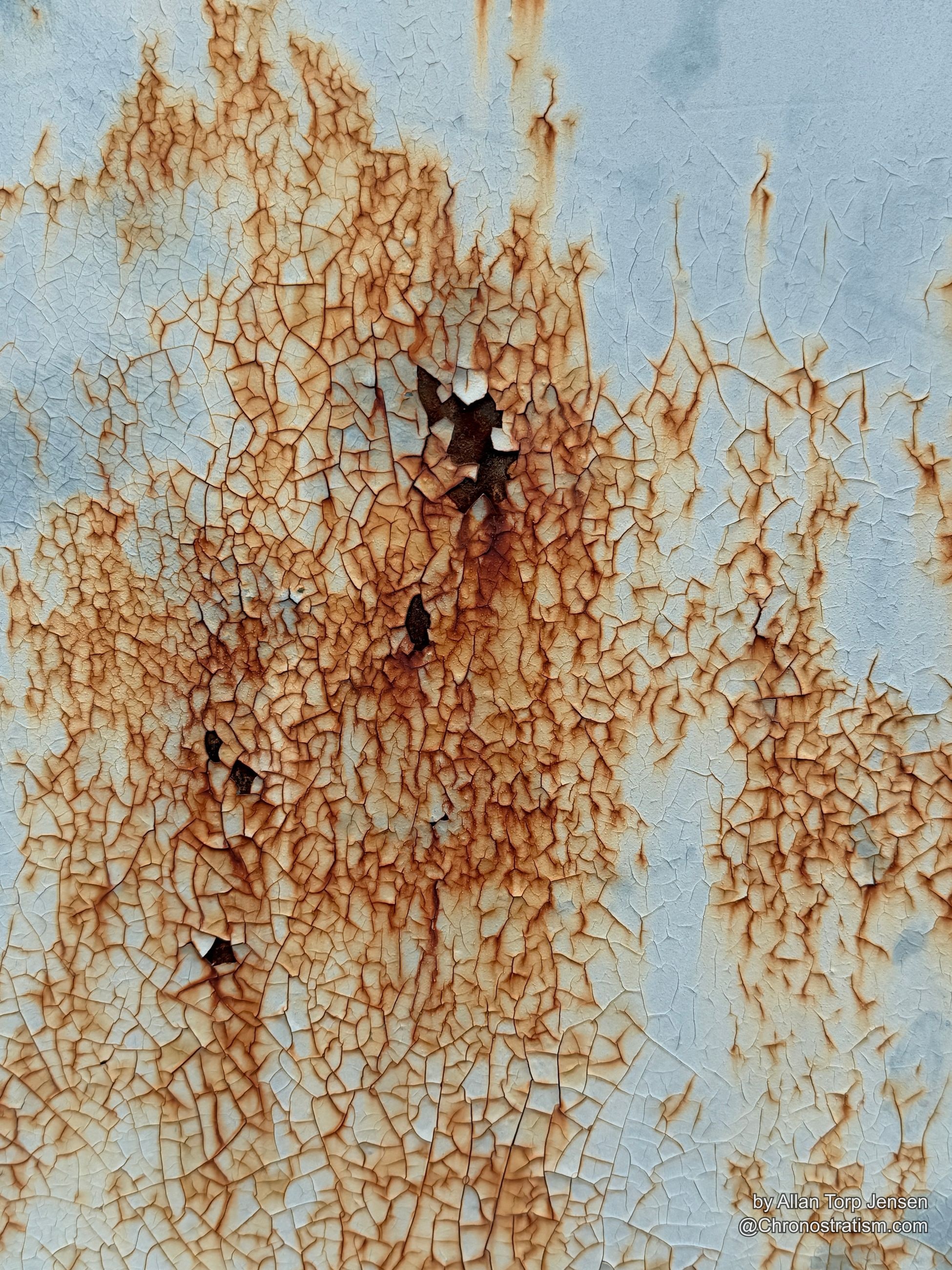 Rust blooms through a dense field of hairline cracks, dark craters opening where the paint has fully given way.