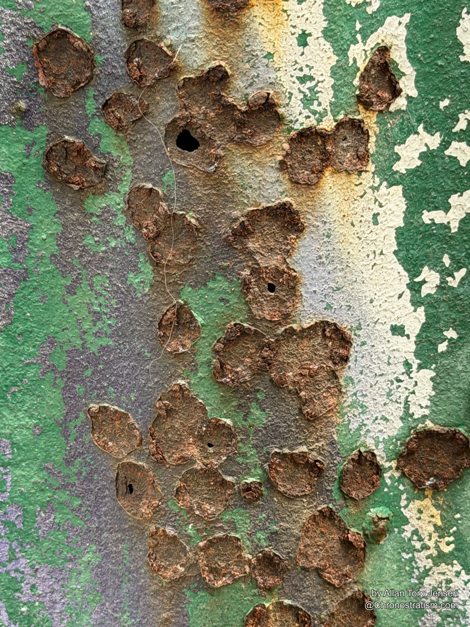Rust eats through the paint in ragged clusters across the sheet metal fence.