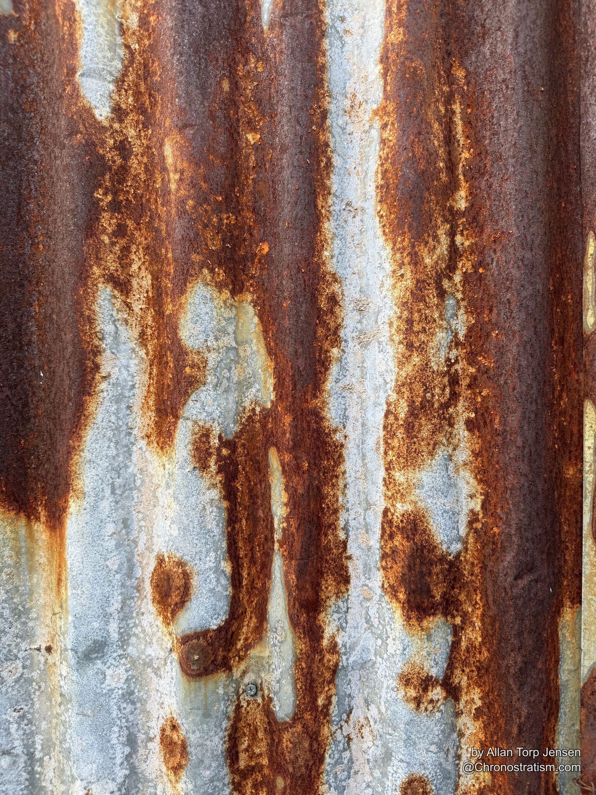 Rust spreads in a dense mottled field across weathered galvanized corrugation.