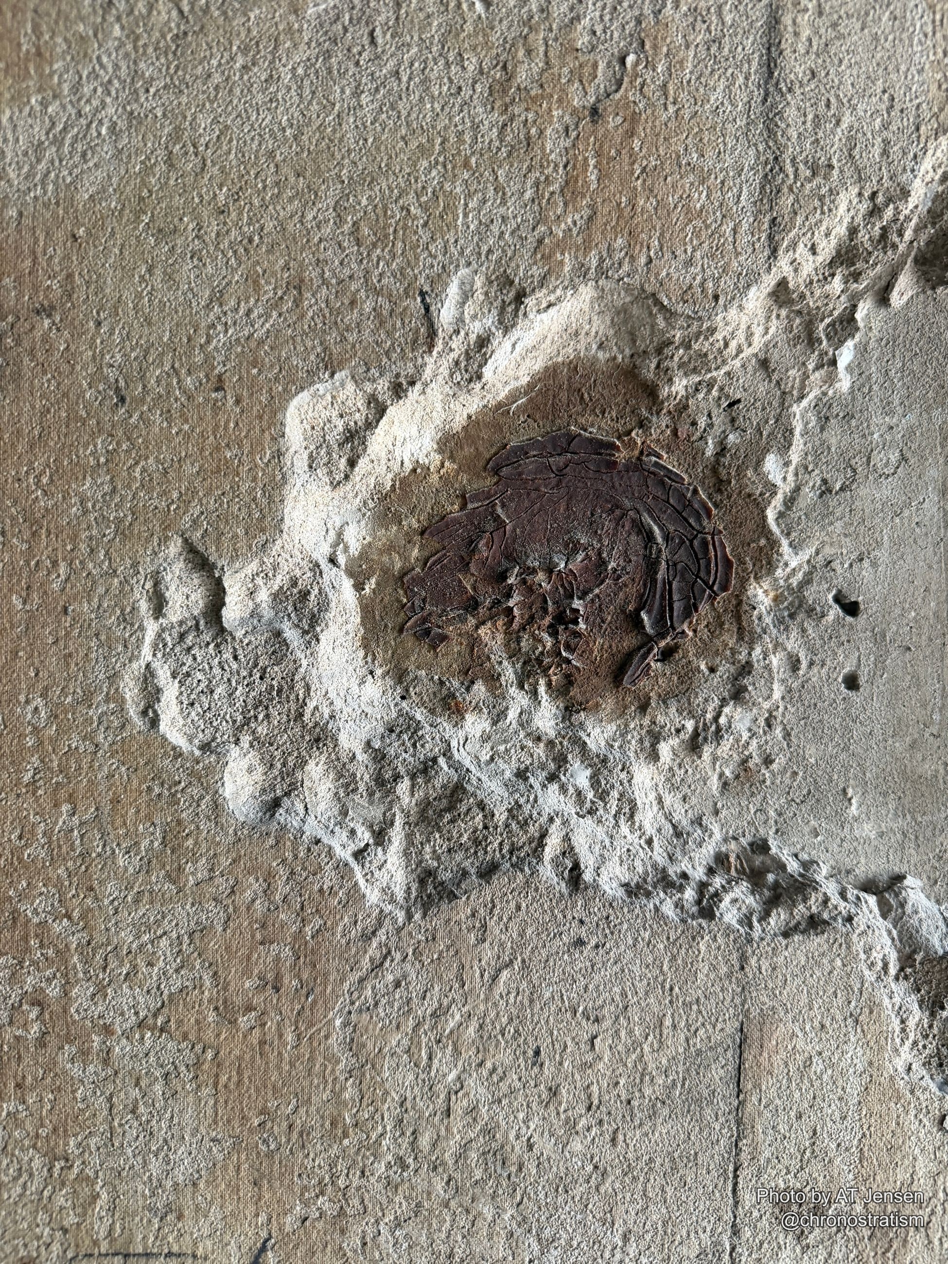 A rusted metal disc sits exposed at the center of a crater where render has crumbled away from the wall.