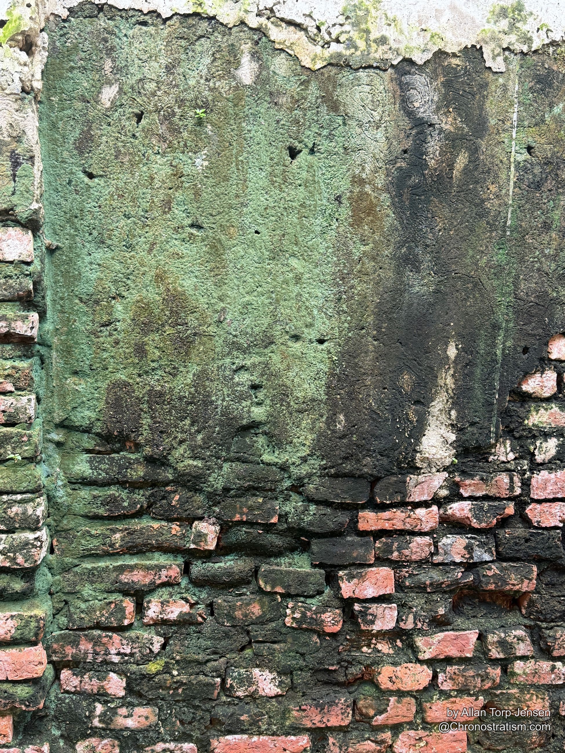 Thick green moss and lichen crust a brick wall streaked with black soot.