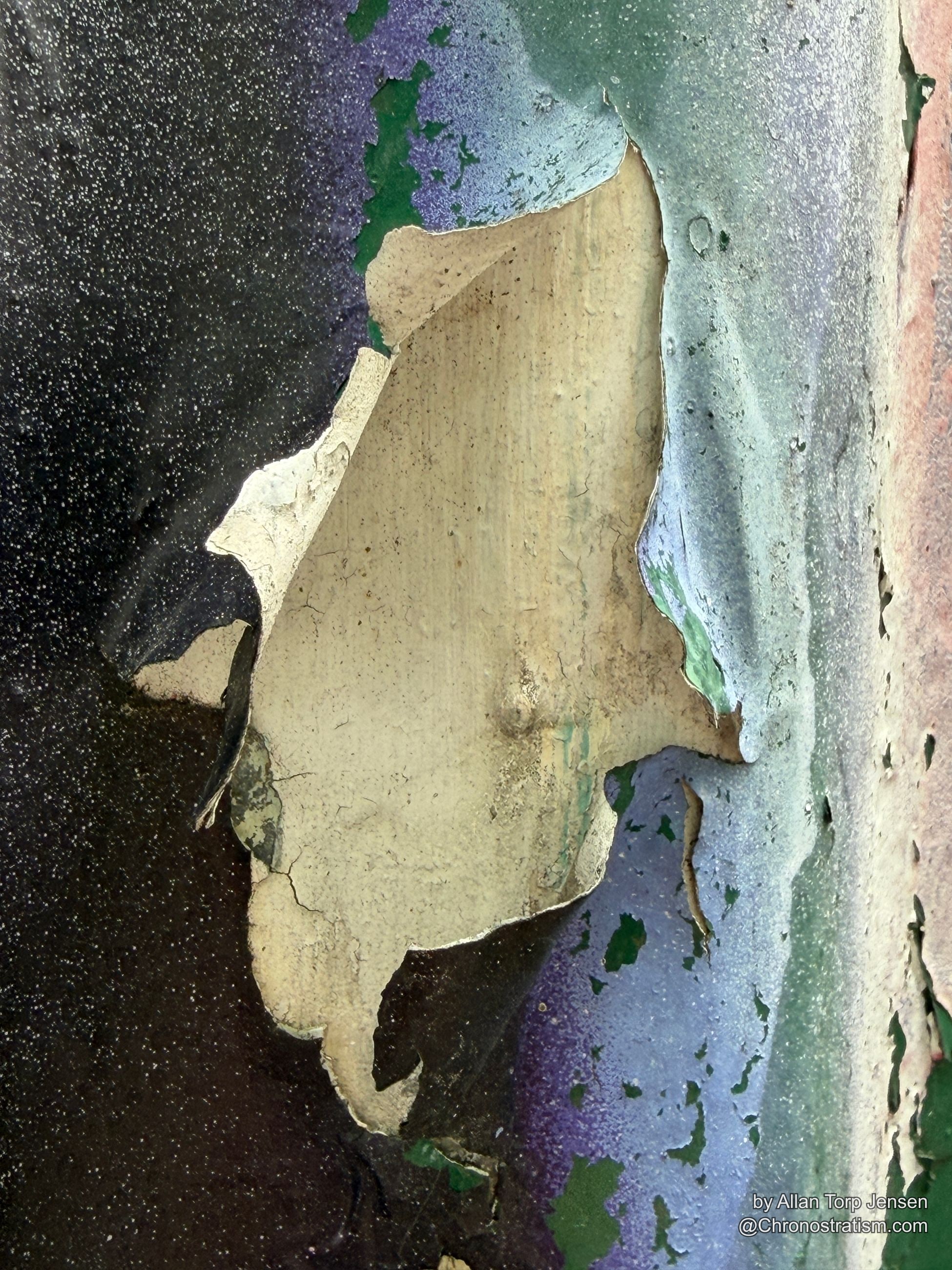 The torn paint sheet widens, curling edges framing the exposed metal beneath.