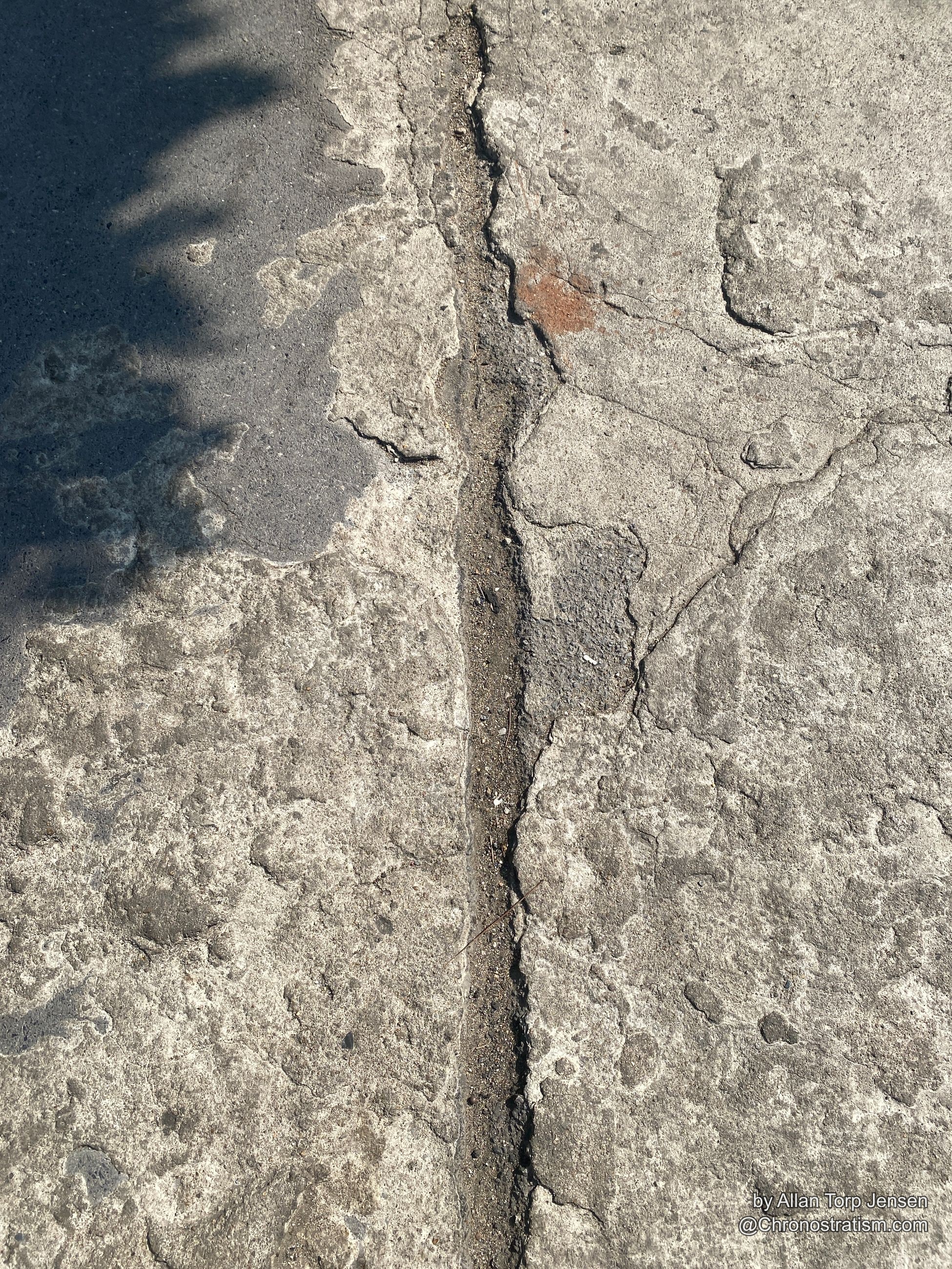 A weathered concrete seam cracks open, a small rust stain bleeding into the joint.